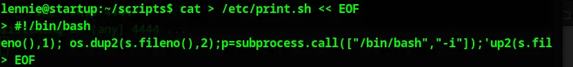 reverse-shell